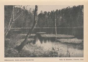 Osterode (Ostpr.), Kreis Osterode Osterode (Ostpr.), Drenske See, schwimmende Inseln 