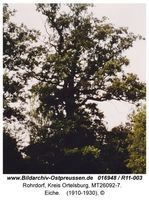 Rohrdorf, Kreis Ortelsburg 