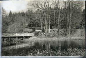 Landsberg, Stadt, Kreis Preußisch Eylau Landsberg i. Ostpr., Röhrenteich II 