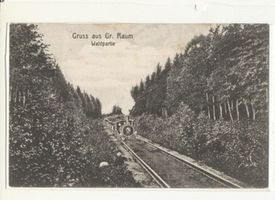 Groß Raum, Kreis Samland Groß Raum Kr. Samland, Waldpartie mit Kleinbahn Samland, Orte im Kreis
