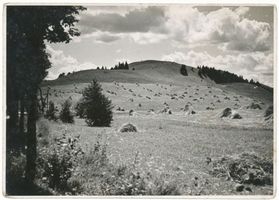 Goldap, Kreis Goldap Goldap, Goldaper Berg VIII Гольдап, Гольдапская гора, VIII