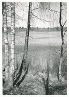  Masuren, Landschaft am Marschner See Masurische Seen