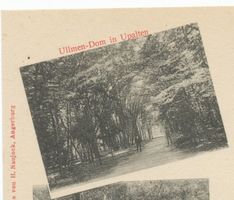 Upalten Kr. Angerburg, Kreis Angerburg Upalten Kr. Angerburg, Ulmendom I Упальтен, уезд Ангербург, Ульмендом, I
