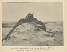  Kurische Nehrung, Ausgewehter Berg Куршская коса, развеянная гора