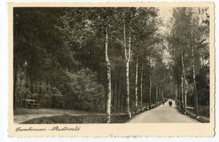 Gumbinnen, Stadt, Kreis Gumbinnen Gumbinnen, Stadtwald II 