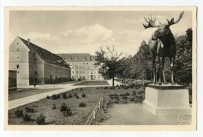 Gumbinnen, Stadt, Kreis Gumbinnen Magazinplatz Gumbinnen, Anlagen mit Elch Гумбиннен, сквер с лосем