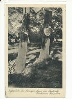 Rossitten Kr. Samland, Kreis Samland 