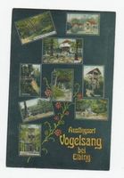 Vogelsang Stadtkr. Elbing, Stadtkreis Elbing Vogelsang Stadtkr. Elbing, Ausflugsort Фогельзанг, городской округ Эльбинг, место отдыха