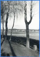 Kutten, Kreis Angerburg Kutten, Straße von Groß Garten nach Kutten Куттен, дорога из Гросс-Гартена на Куттен