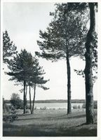  Dobensee, Halbinsel bei Kühnort Masurische Seen