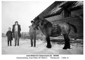 Schwarzenberg, Kreis Rößel  
