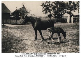 Wagenfeld, Kreis Ortelsburg 