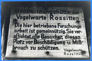Rossitten Kr. Samland, Kreis Samland Rossitten Kr. Samland, Vogelwarte, Schild der Beobachtungshütte 