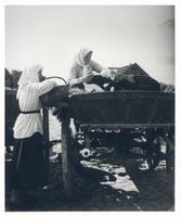 Memel, Stadt, Stadtkreis Memel Memel, Pferdefuhrwerke auf den Wochenmarkt VII Мемель, конные повозки на еженедельный рынок, VII