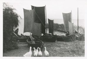 Sarkau, Kreis Samland Sarkau, Hafen V Kurisches Haff, Fischerei