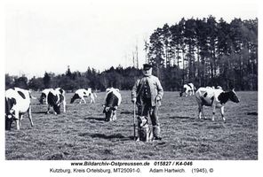 Kutzburg, Kreis Ortelsburg 