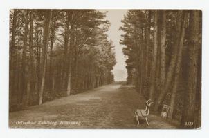 Kahlberg-Liep, Ort, Kreis Elbing Kahlberg, Höhenweg Кальберг, верхняя дорога