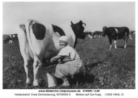 Heideckshof, Kreis Elchniederung 