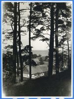 Nidden, Kreis Memel Nidden, Teilansicht mit Blick auf das Haff Nidden, Landschaft - Ostsee - Umgebung