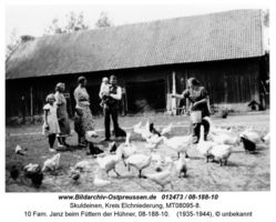 Skuldeinen, Kreis Elchniederung 