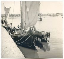Rossitten Kr. Samland, Kreis Samland Rossitten Kr. Samland, Fuhrwerk übernimmt Fracht vom Boot II Росситтен, уезд Самбия, подвода принимает груз с лодки, II