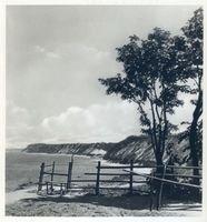  Brüsterort, Steilküste am Leuchtturm mit Zipfelberg im Hintergrund II Samländische Steilküste