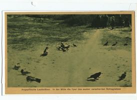  Kurische Nehrung, Vom Krähenfang auf der Kurischen Nehrung I 