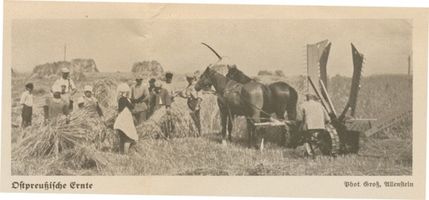  Ganz Ostpreußen, Ostpreußische Ernte Landwirtschaft in Ostpreußen