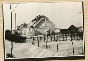 Pogegen, Kreis Tilsit-Ragnit Pogegen, Haus Schneider an der Chaussee Tilsit-Memel 