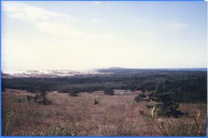 Nidden, Kreis Memel Nidden, Tal des Schweigens, Große Düne, Ostsee Нидден, Долина молчания, Большая дюна, Балтийское море