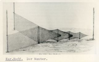  Kurisches Haff, Der Wenter Kurisches Haff, Fischerei