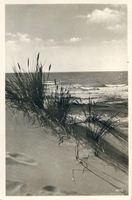  Ostpreußen, Ostseestrand IV 