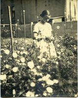 Deutsch Wilten, Kreis Bartenstein 