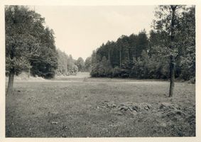 Allenstein, Stadtkreis Allenstein Allenstein, Stadtwald oder Park ?? Allenstein, Stadtwald