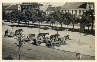 Lötzen, Stadt, Kreis Lötzen Markt Lötzen, Markt, Vor der Molkerei 