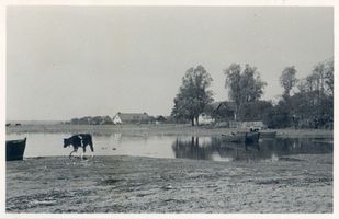 Großheidekrug, Kreis Samland Groß Heydekrug, Partie am Frischen Haff III 