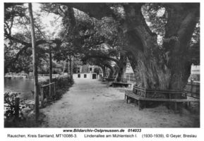 Rauschen Kr. Samland, Kreis Samland 