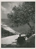Rauschen Kr. Samland, Kreis Samland Rauschen Kr. Samland, Blick von der Venusspitze XXXVI Rauschen, Strand