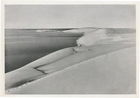  Kurische Nehrung, Die Nehrung in ihrem leuchtend hellem Gewand Kurische Nehrung, Dünen, Sandstrukturen