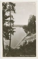  Niedersee (See), Uferpartie Masuren, Niedersee
