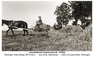 Tollmingen, Kreis Goldap  