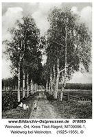 Weinoten, Ort, Kreis Tilsit-Ragnit  