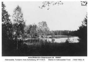 Adlerswalde, Forstamt, Kreis Schloßberg  