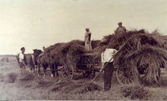 Waldau Kr. Samland, Ort, Kreis Samland 