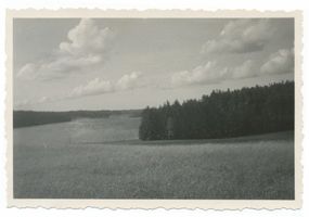 Succase, Kreis Elbing 