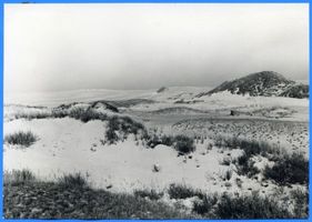 Schwarzort, Kreis Memel Schwarzort, Dünenlandschaft 
