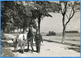  Memel, Bauer mit Pferden 
