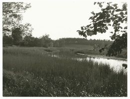 Kleinort Kr. Sensburg, Kreis Sensburg Kleinort Kr. Sensburg, Fluß bei Kleinort 