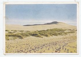  Kurische Nehrung, In den Dünen Kurische Nehrung, Dünen
