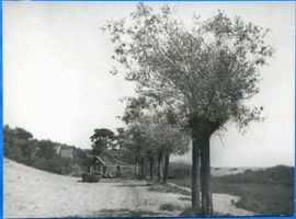 Neukrug Kr. Elbing, Ort, Kreis Elbing Neukrug Kr. Elbing, Fischerhäuser am Haff II Нойкруг, р-н Эльбинг, рыбацкие дома на заливе, II